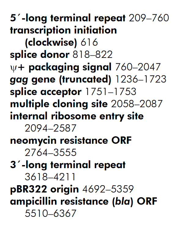 pFB-Neo 载体特征